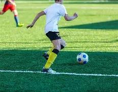 達利奇盛讚,佩特科維奇,對球隊影響,Ag亚游真人,Ag亚游真人平台,Ag亚游真人电子游戏平台,Asia,Gaming