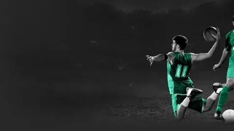 達利奇盛讚佩特科維奇：對球隊影響深遠！