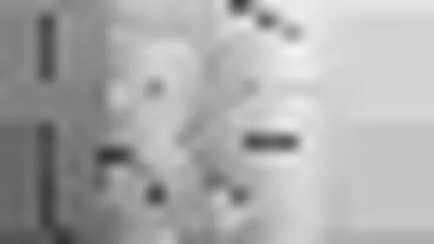 富勒姆教练点评：狼队客场挑战极具挑战，S罗状态未定观察中